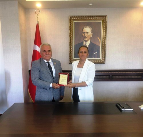 Ziyaret
